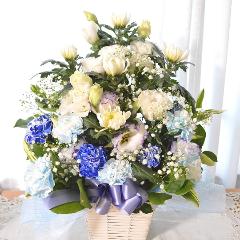 �������p�@�A�����W�����g�@�^�S�@�@�i�e�ƃg���R�L�L���E�̃t�����[�A�����W�����g�j���n�@�������A������݁A���~�A���ފ݁A�����A�@���A���ԁA���ʖ�A���ʎ�