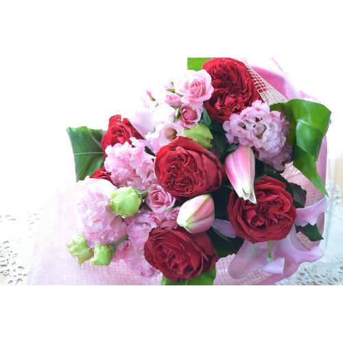 �v�`�ґ�ȃu�[�P�@SilentRed (�o���ƃ����̉ԑ��j�Ԍn�@���a�����A�����L�O���A���j���A���ʁA���\��A�h�V��4