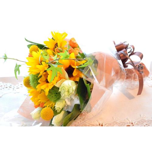 �L���[�g�ȃu�[�P�@�r����������Memory�@�i�q�}�����̉ԑ��j�C�G���[�I�����W�n�@�a�����A�����L�O���A���j���A���\��A�R���T�[�g�A���C�u3