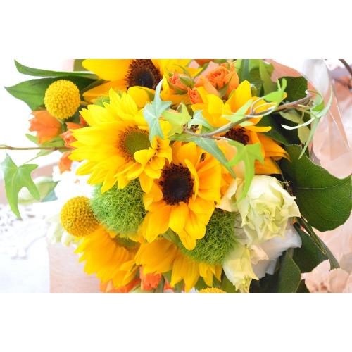 �L���[�g�ȃu�[�P�@�r����������Memory�@�i�q�}�����̉ԑ��j�C�G���[�I�����W�n�@�a�����A�����L�O���A���j���A���\��A�R���T�[�g�A���C�u4
