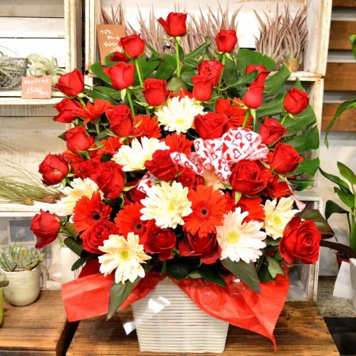 �p�Y�i�o���̃t�����[�A�����W�����g�j�Ԍn�@�a�����A�����L�O���A�җ�A�A�C�j���A�J�X�j��