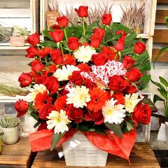 �p�Y�i�o���̃t�����[�A�����W�����g�j�Ԍn�@�a�����A�����L�O���A�җ�A�A�C�j���A�J�X�j��