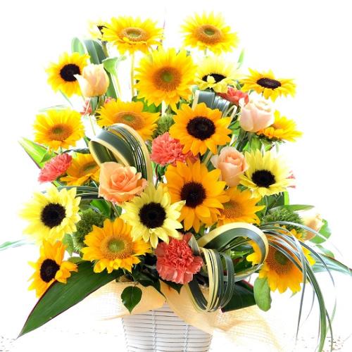 �G���[�[�@�i�q�}�����̃t�����[�A�����W�����g�j�@���F�n�@�a�����A�����L�O���A���j���A�J�X�A�J��