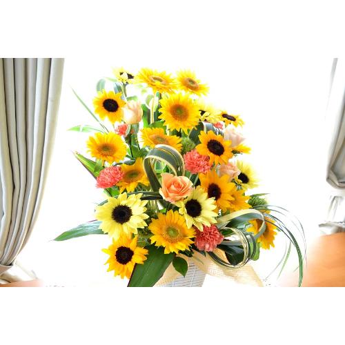 �G���[�[�@�i�q�}�����̃t�����[�A�����W�����g�j�@���F�n�@�a�����A�����L�O���A���j���A�J�X�A�J��4