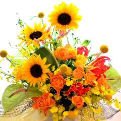 �������A���@�A�����W�@PopYellow�@�i�q�}�����ƃo���̃t�����[�A�����W�����g�j���F�n