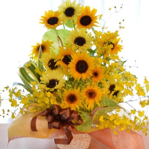 �������A���@�A�����W�@�@SunFlower�@Mix