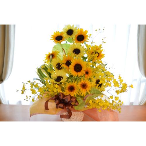 �������A���@�A�����W�@�@SunFlower�@Mix2