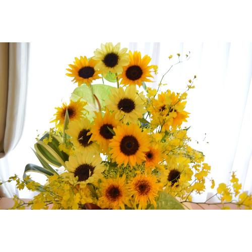 �������A���@�A�����W�@�@SunFlower�@Mix4