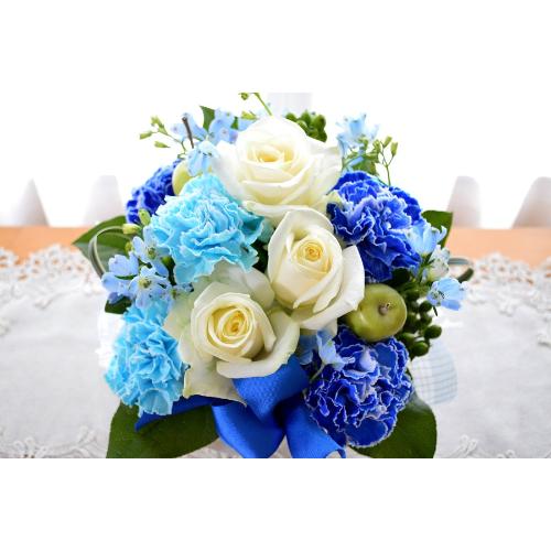 ��l�̃A�����W�@�a�������v���������@�i�J�[�l�[�V�����̃t�����[�A�����W�����g�j�u���[�n�@�a�����A�����L�O���A���j��2