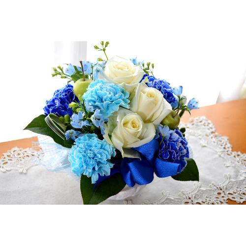 ��l�̃A�����W�@�a�������v���������@�i�J�[�l�[�V�����̃t�����[�A�����W�����g�j�u���[�n�@�a�����A�����L�O���A���j��4