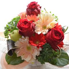 �v�`�ґ�ȃA�����W�@RedDiamond �i�o���ƃK�[�x���̃t�����[�A�����W�����g)�Ԍn�@���a�����A�����L�O���A���j���A�h�V�̓�