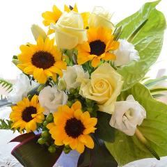 �v�`�ґ�ȃA�����W�����g�@SummerWing�@�i�q�}�����̃t�����[�A�����W�������g�j�C�G���[�I�����W�n�@�a�����A�����L�O���A���j���A���\��A�R���T�[�g�A���C�u
