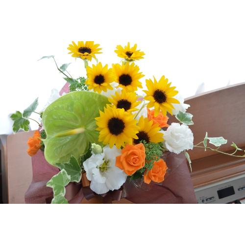 �v�`�ґ�ȃA�����W�@SunMelody�@�i�q�}�����̃t�����[�A�����W�������g�j���F�n3