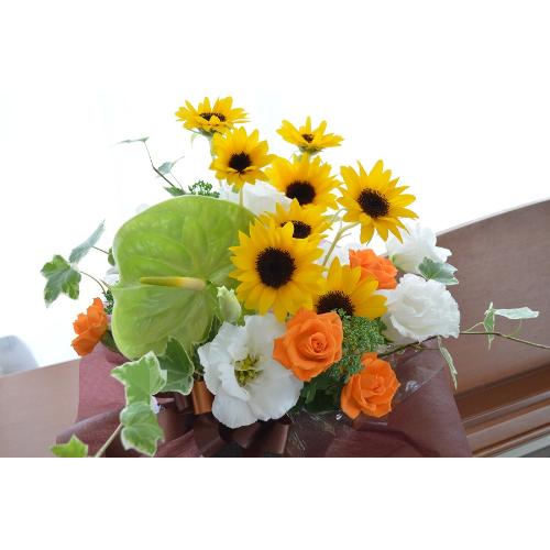 �v�`�ґ�ȃA�����W�@SunMelody�@�i�q�}�����̃t�����[�A�����W�������g�j���F�n4