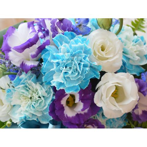 �v�`�ґ�ȃA�����W�����g�@Blue�o�����������@�i�J�[�l�[�V�����ƃg���R�L�L���E�̃t�����[�A�����W�����g�j�u���[�n�@�a�����A�����L�O���A���j��4