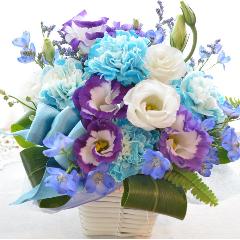 �v�`�ґ�ȃA�����W�����g�@Blue�o�����������@�i�J�[�l�[�V�����ƃg���R�L�L���E�̃t�����[�A�����W�����g�j�u���[�n�@�a�����A�����L�O���A���j��