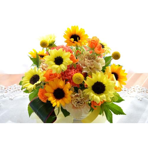 �v�`�ґ�ȃA�����W�@SummerSong�@�i�q�}�����̃t�����[�A�����W�������g�j���F�n�@�a�����A�����L�O���A���j���A���\��A�R���T�[�g�A���C�u3