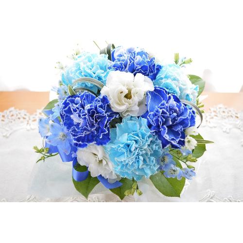 �v�`�ґ�ȃA�����W�@BlueWhite�@�i�J�[�l�[�V�����̃t�����[�A�����W�����g�j�u���[�n�@�a�����A�����L�O���A���j���A�h�V�̓�2