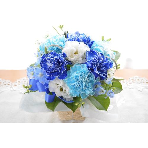 �v�`�ґ�ȃA�����W�@BlueWhite�@�i�J�[�l�[�V�����̃t�����[�A�����W�����g�j�u���[�n�@�a�����A�����L�O���A���j���A�h�V�̓�4