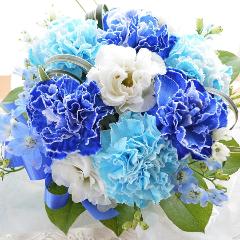 �v�`�ґ�ȃA�����W�@BlueWhite�@�i�J�[�l�[�V�����̃t�����[�A�����W�����g�j�u���[�n�@�a�����A�����L�O���A���j���A�h�V�̓�