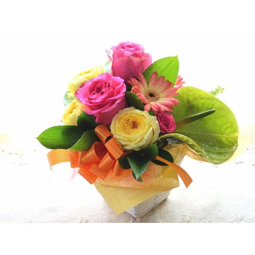 �v�`�ґ�ȃA�����W�����g�@LovelyRose�@�@�i�o���̃t�����[�A�����W�����g�j�s���N�n�@�a�����A�����L�O���A���j��2