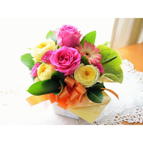�v�`�ґ�ȃA�����W�����g�@LovelyRose�@�@�i�o���̃t�����[�A�����W�����g�j�s���N�n�@�a�����A�����L�O���A���j��3