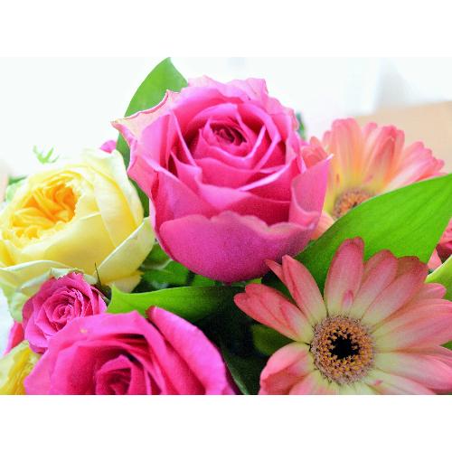 �v�`�ґ�ȃA�����W�����g�@LovelyRose�@�@�i�o���̃t�����[�A�����W�����g�j�s���N�n�@�a�����A�����L�O���A���j��5
