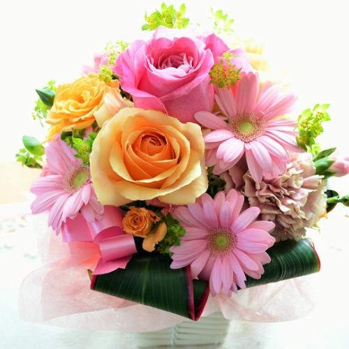 �v�`�ґ�ȃA�����W�@PinkPrincess �i�o���ƃK�[�x���̃t�����[�A�����W�����g) �s���N�n�@�a�����A�����L�O���A���j���A�h�V�̓�