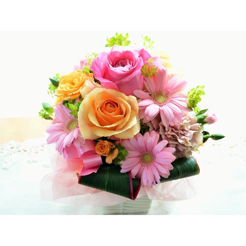 �v�`�ґ�ȃA�����W�@PinkPrincess �i�o���ƃK�[�x���̃t�����[�A�����W�����g) �s���N�n�@�a�����A�����L�O���A���j���A�h�V�̓�2