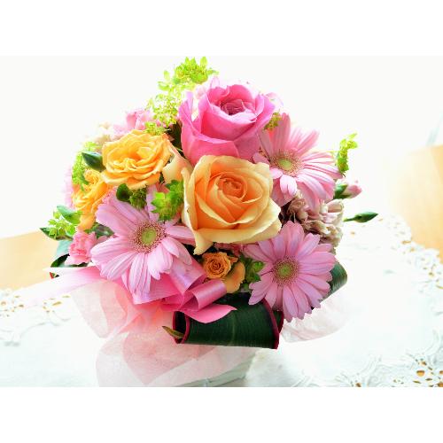 �v�`�ґ�ȃA�����W�@PinkPrincess �i�o���ƃK�[�x���̃t�����[�A�����W�����g) �s���N�n�@�a�����A�����L�O���A���j���A�h�V�̓�4