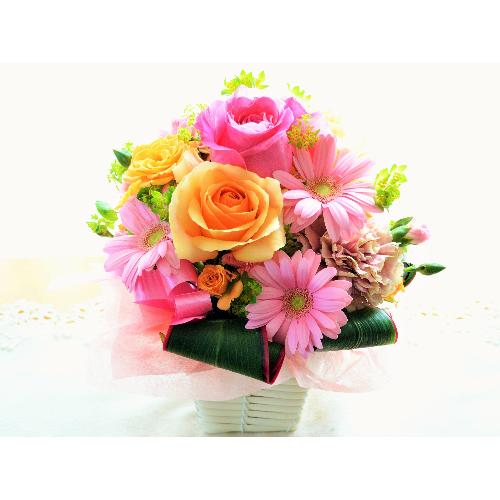 �v�`�ґ�ȃA�����W�@PinkPrincess �i�o���ƃK�[�x���̃t�����[�A�����W�����g) �s���N�n�@�a�����A�����L�O���A���j���A�h�V�̓�5