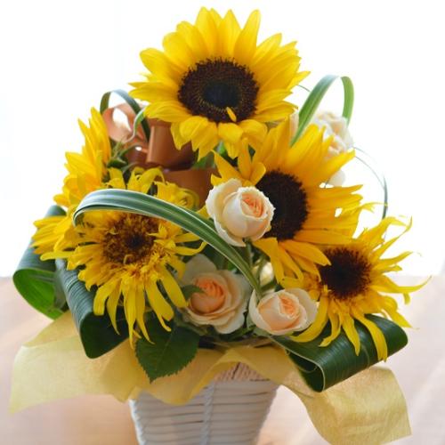 �L���[�g�ȃA�����W�����g�@PureSummer�@�i�q�}�����̃t�����[�A�����W�������g�j�C�G���[�I�����W�n