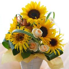 �L���[�g�ȃA�����W�����g�@PureSummer�@�i�q�}�����̃t�����[�A�����W�������g�j�C�G���[�I�����W�n