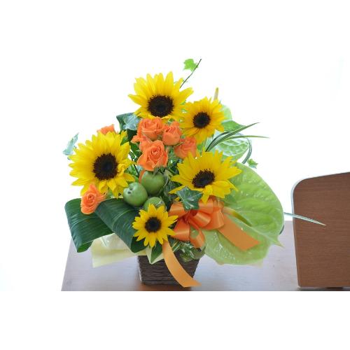 �L���[�g�ȃA�����W�@GreenApple �i�q�}�����ƃA���X�����[���̃t�����[�A�����W�������g�j�C�G���[�I�����W�n3