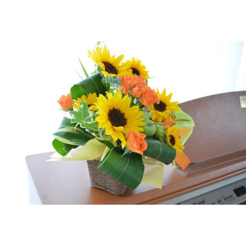 �L���[�g�ȃA�����W�@GreenApple �i�q�}�����ƃA���X�����[���̃t�����[�A�����W�������g�j�C�G���[�I�����W�n5