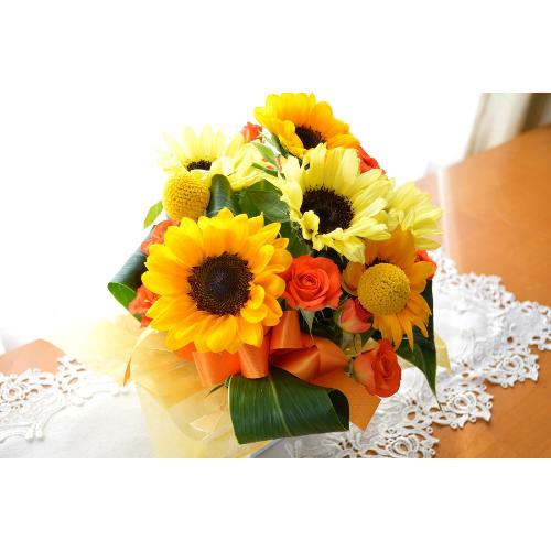 �L���[�g�ȃA�����W�����g�@HappySummer�@�i�q�}�����̃t�����[�A�����W�������g�j�C�G���[�I�����W�n3