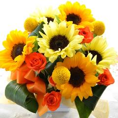�L���[�g�ȃA�����W�����g�@HappySummer�@�i�q�}�����̃t�����[�A�����W�������g�j�C�G���[�I�����W�n