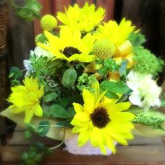 �L���[�g�ȃA�����W�@SunFlower �i�q�}�����ƃJ�[�l�[�V�����̃t�����[�A�����W�������g�j�C�G���[�I�����W�n