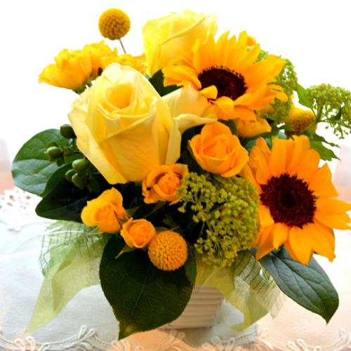 �L���[�g�ȃA�����W�@YellowSun�@�i�q�}�����ƃo���̃t�����[�A�����W�������g�j�C�G���[�I�����W�n