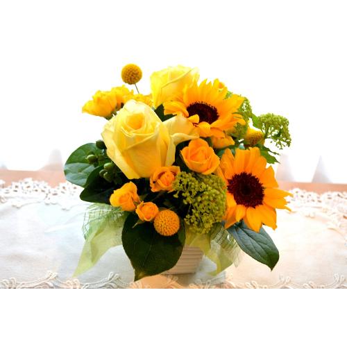 �L���[�g�ȃA�����W�@YellowSun�@�i�q�}�����ƃo���̃t�����[�A�����W�������g�j�C�G���[�I�����W�n2