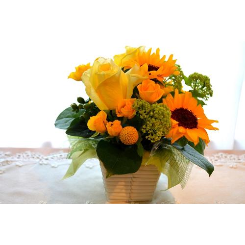 �L���[�g�ȃA�����W�@YellowSun�@�i�q�}�����ƃo���̃t�����[�A�����W�������g�j�C�G���[�I�����W�n4