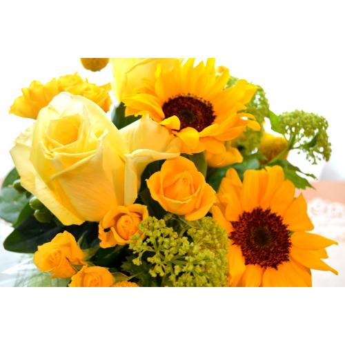 �L���[�g�ȃA�����W�@YellowSun�@�i�q�}�����ƃo���̃t�����[�A�����W�������g�j�C�G���[�I�����W�n5