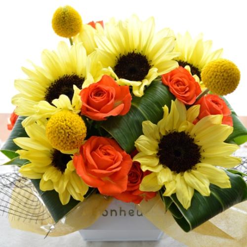 �L���[�g�ȃA�����W�@PineapYellow�@�i�q�}�����̃t�����[�A�����W�������g�j�C�G���[�I�����W�n