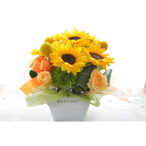 �L���[�g�ȃA�����W�@�n����������Sun�@�i�q�}�����̃t�����[�A�����W�������g�j�C�G���[�I�����W�n3
