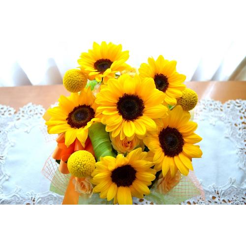 �L���[�g�ȃA�����W�@�n����������Sun�@�i�q�}�����̃t�����[�A�����W�������g�j�C�G���[�I�����W�n5