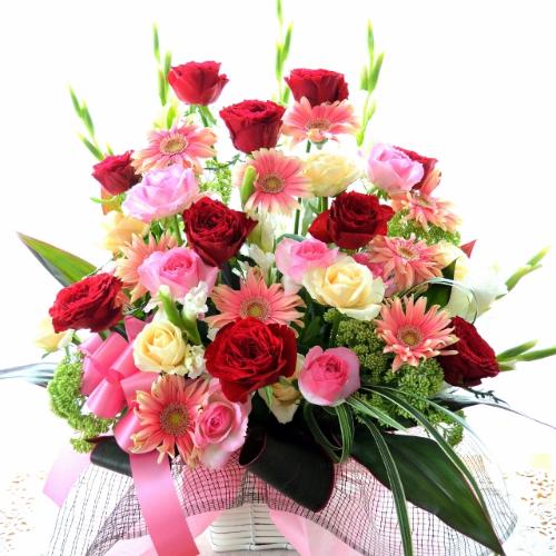 �t�B�K���̌���  (�o���ƃK�[�x���̃t�����[�A�����W�����g�j�ԃs���N�n�@�J�X�j���A�J�Əj���A���N�j���A�A�C�j���A�ړ]�j���A����A���\��