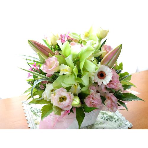 �������A���@�A�����W�����g�@PinkSweet�@(���ƃ����̃t�����[�A�����W�����g�j�s���N�n�@�a�����A�����L�O���A���j���A��̓��A�h�V�̓�4