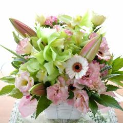 �������A���@�A�����W�����g�@PinkSweet�@(���ƃ����̃t�����[�A�����W�����g�j�s���N�n�@�a�����A�����L�O���A���j���A��̓��A�h�V�̓�