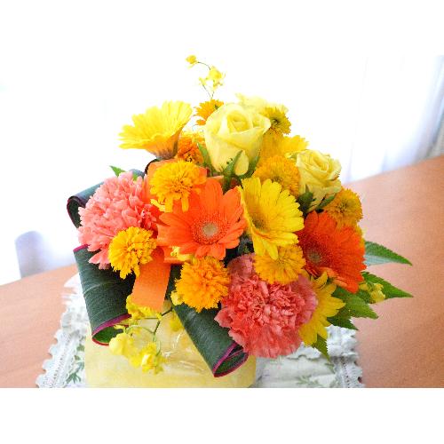 �v�`�ґ�ȃA�����W�@HighYellow�@(�o���ƃK�[�x���̃t�����[�A�����W�����g�j�C�G���[�n�i���F�j�@�a�����A�����L�O��,���j���A�h�V�̓�3