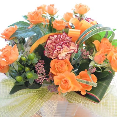 �v�`�ґ�ȃA�����W�����g�@IslandOrange�@�i�����o���̃t�����[�A�����W�����g�j�I�����W�n�@�a�����A�����L�O���A���j��